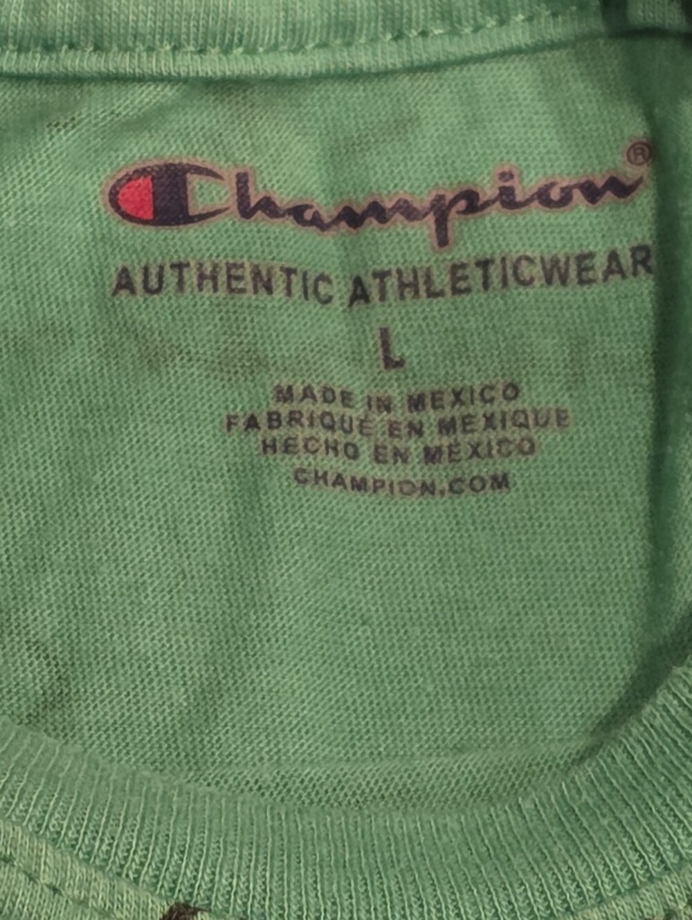 Champion Boys Green Crewneck Sweatshirt - Authentic Athleticwear
